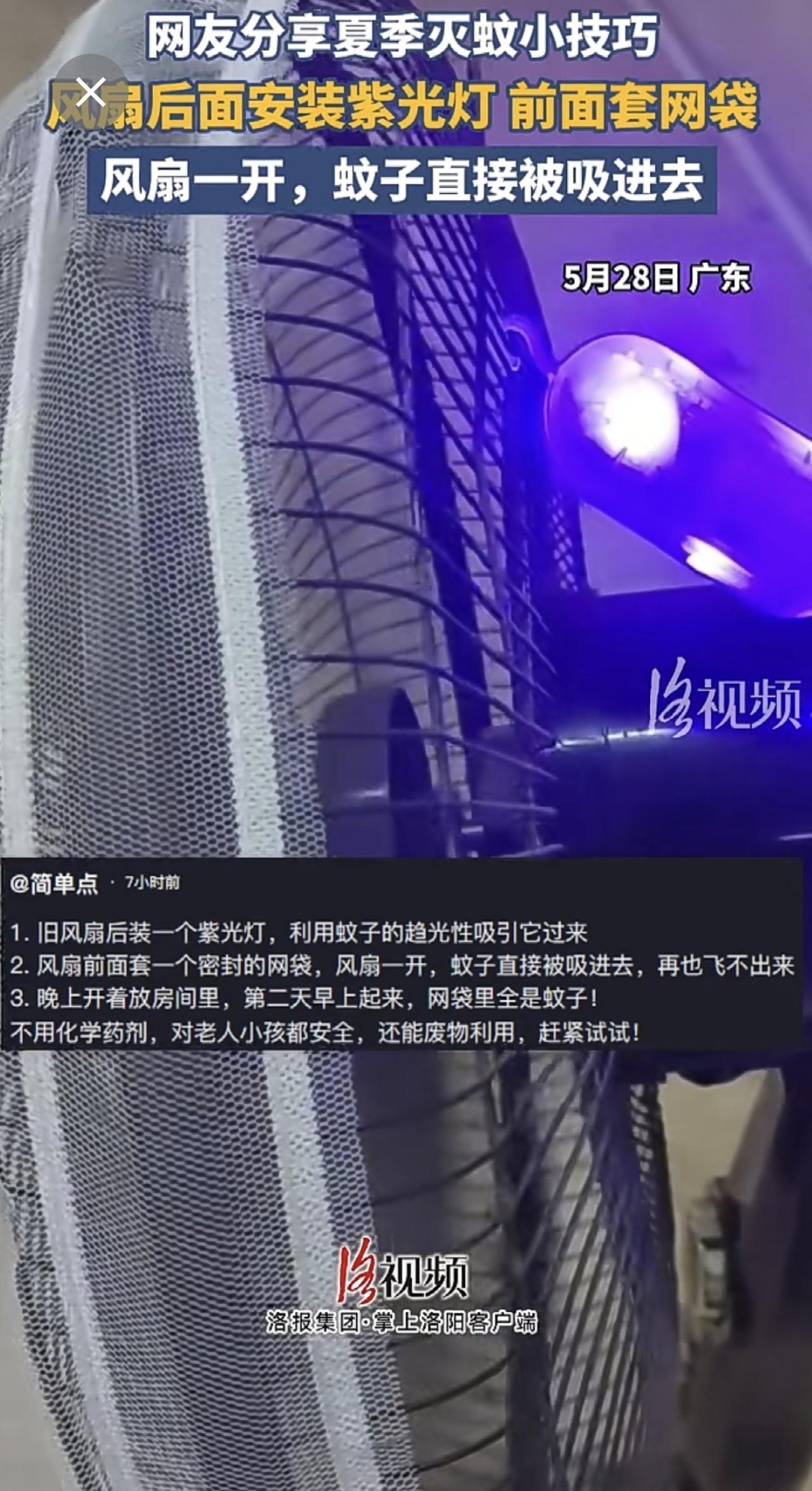 网友分享夏季灭蚊小技巧，风扇后面安装紫光灯 前面套网袋，风扇一开，蚊子直接被吸进