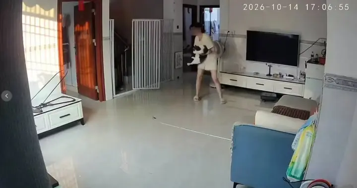 女子被自家猫踹中腹部，致卵巢黄体囊肿破裂，医生提醒