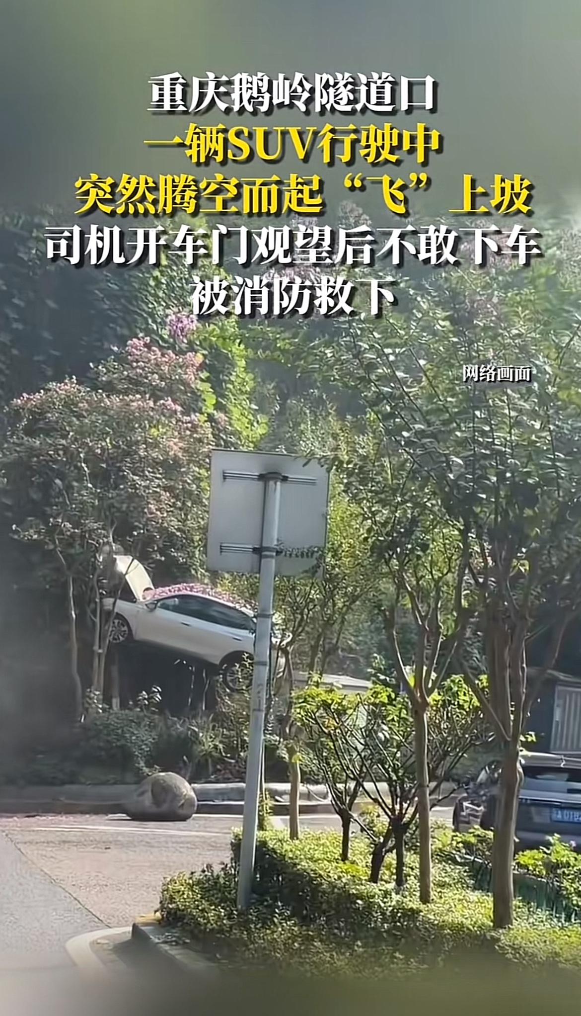 家人们谁懂啊！有个司机开着SUV经历了惊魂一幕。那SUV不知道咋回事，开着开着差