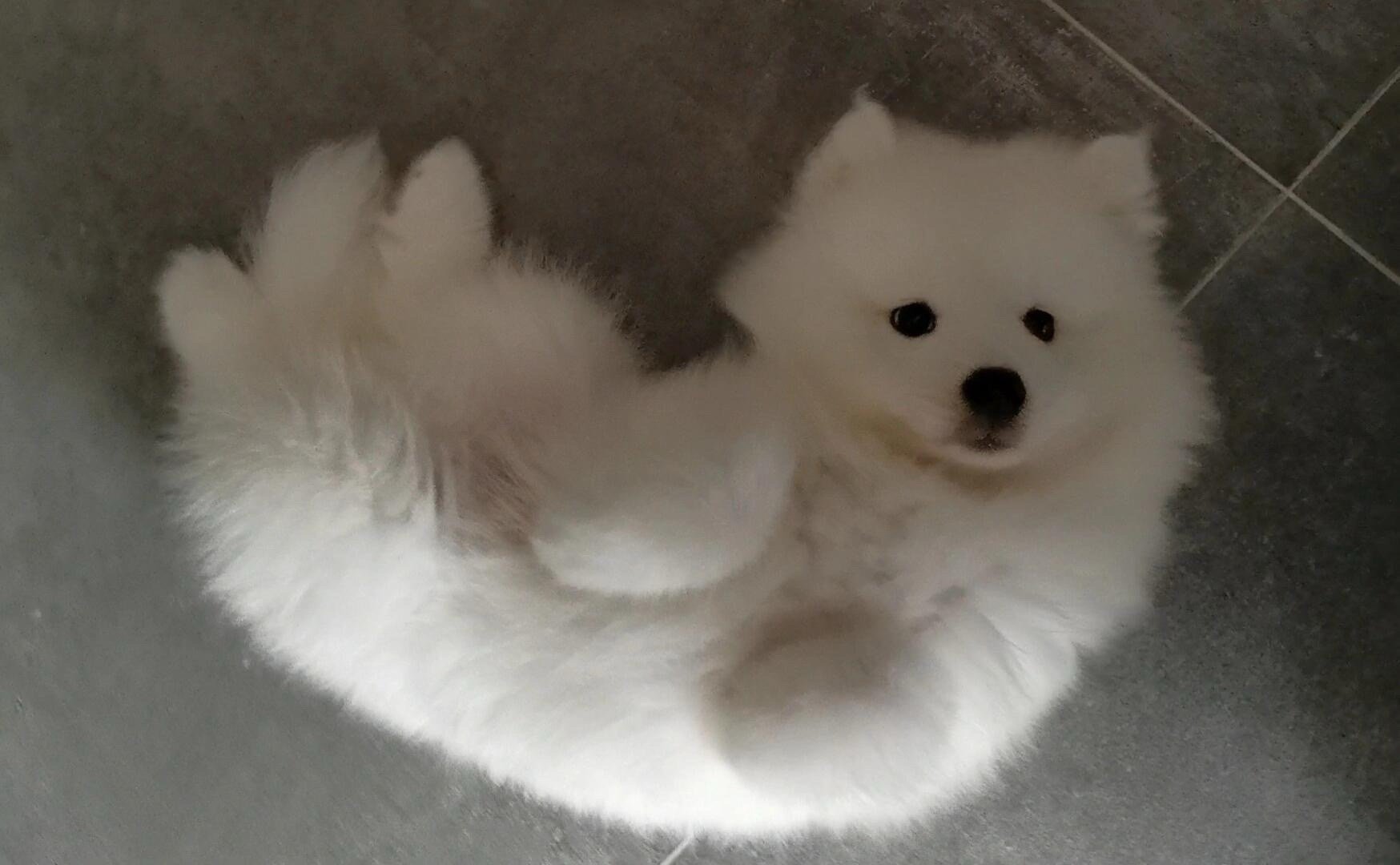 晚安耶 ​​​
