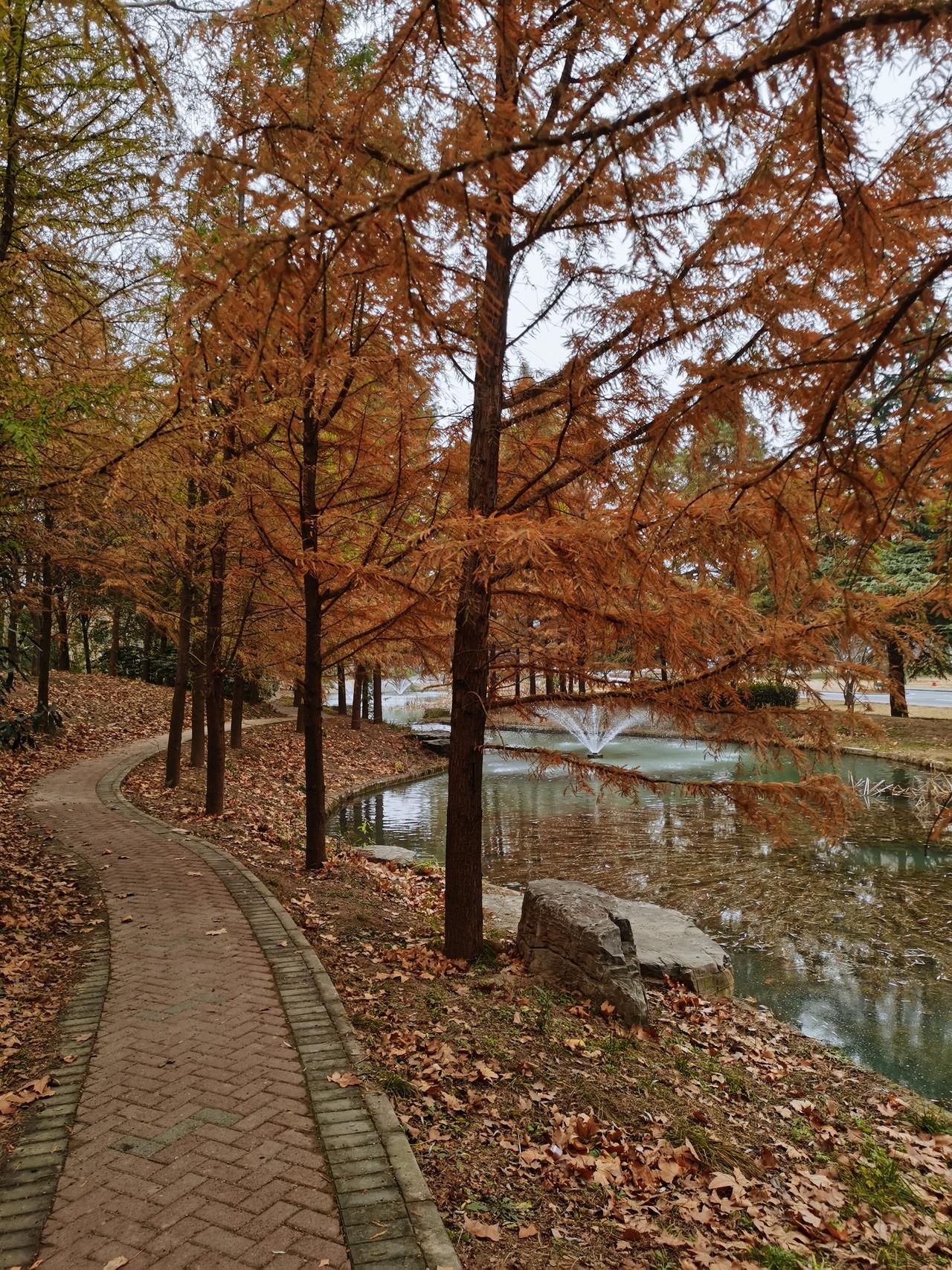 昨晚看北控和上海的比赛，被解说员带进了节奏，尴尬的一批！
北控全员投篮不在线，上