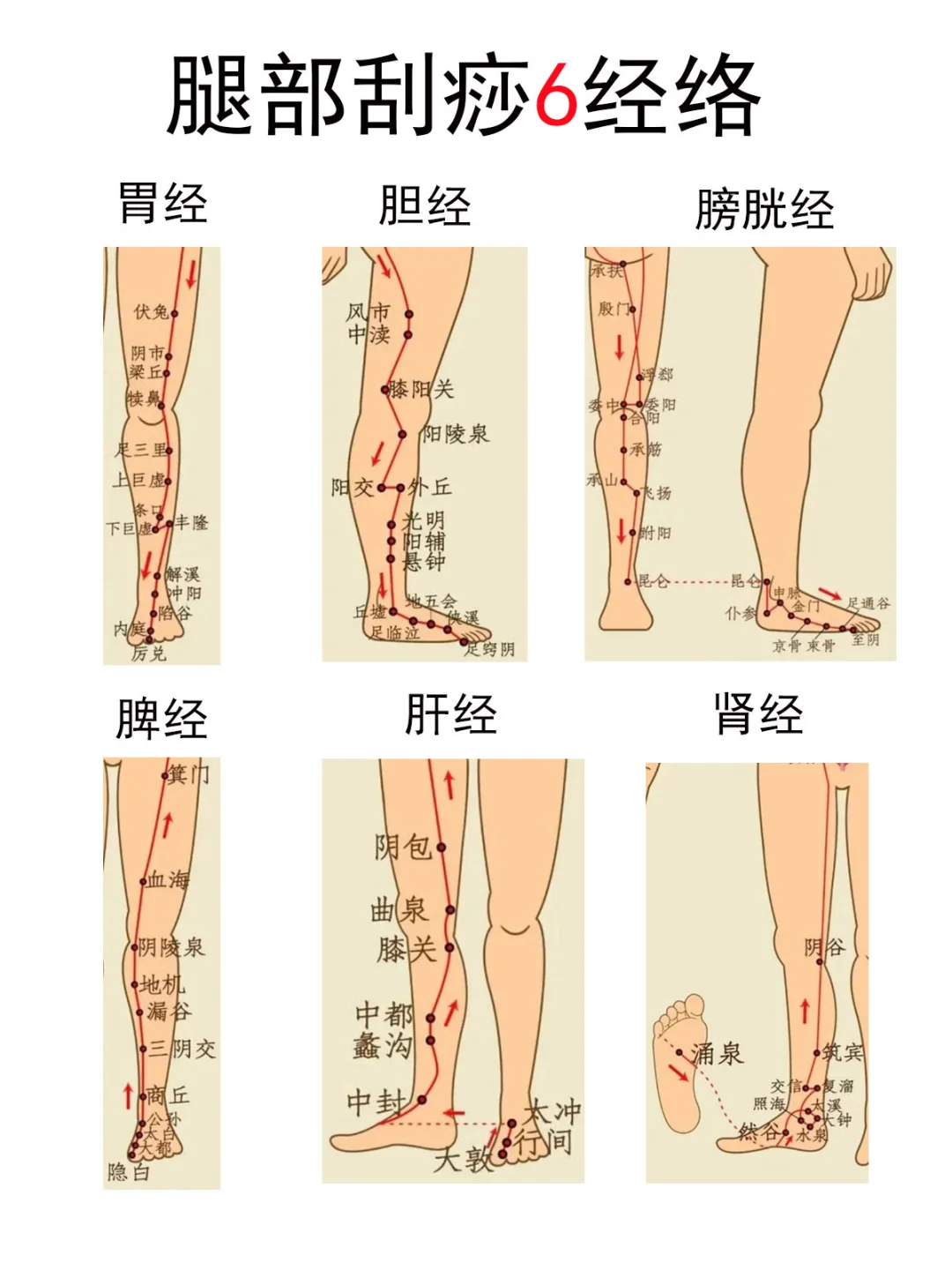 腿部6经络刮痧方法教程，肉肉腿福音来了