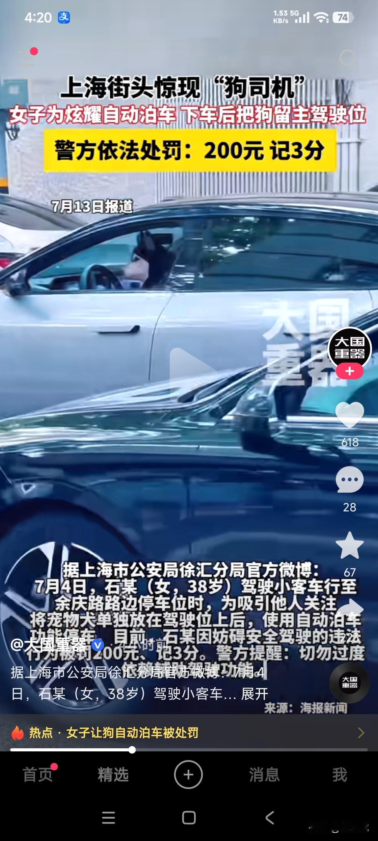 上海街头惊现狗司机，瞬间引起路人的关注，网友们以为狗真的会开车了……原来是狗主人