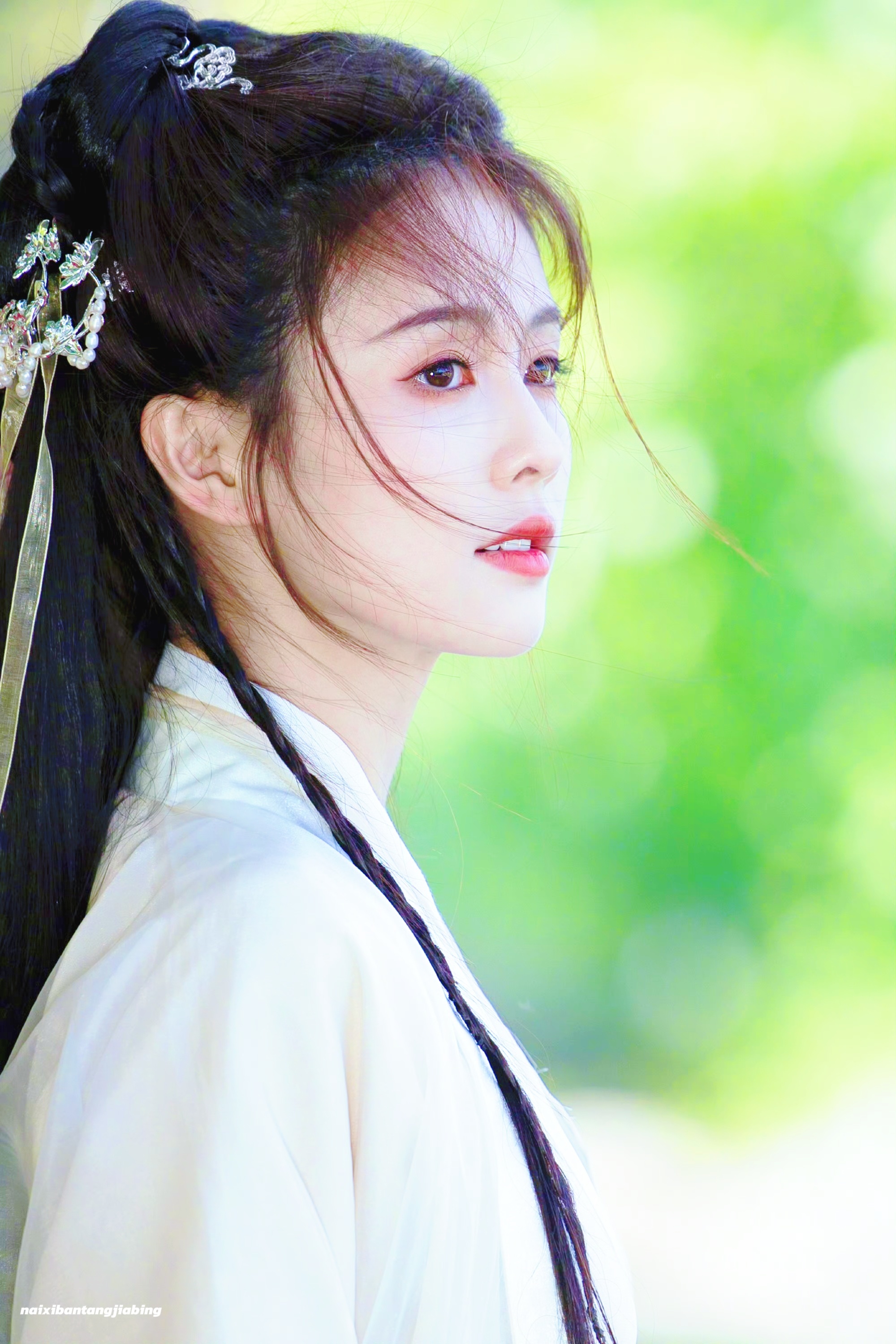 小扇 流莺 满园的笑语🍃白鹿  专栏 · 𐙚⊹小菠甜饼✉~★°