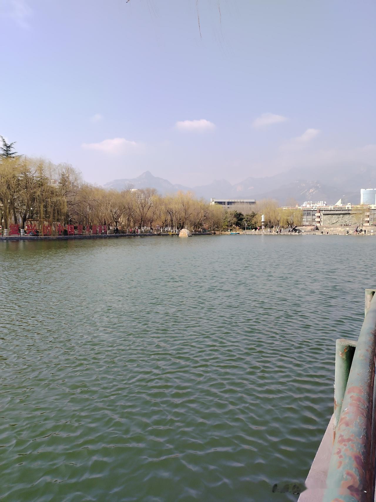 初八的清晨，沿着湖边的栏杆走一走，风里已经没有了数九寒天的刺骨，反倒裹着一丝温柔