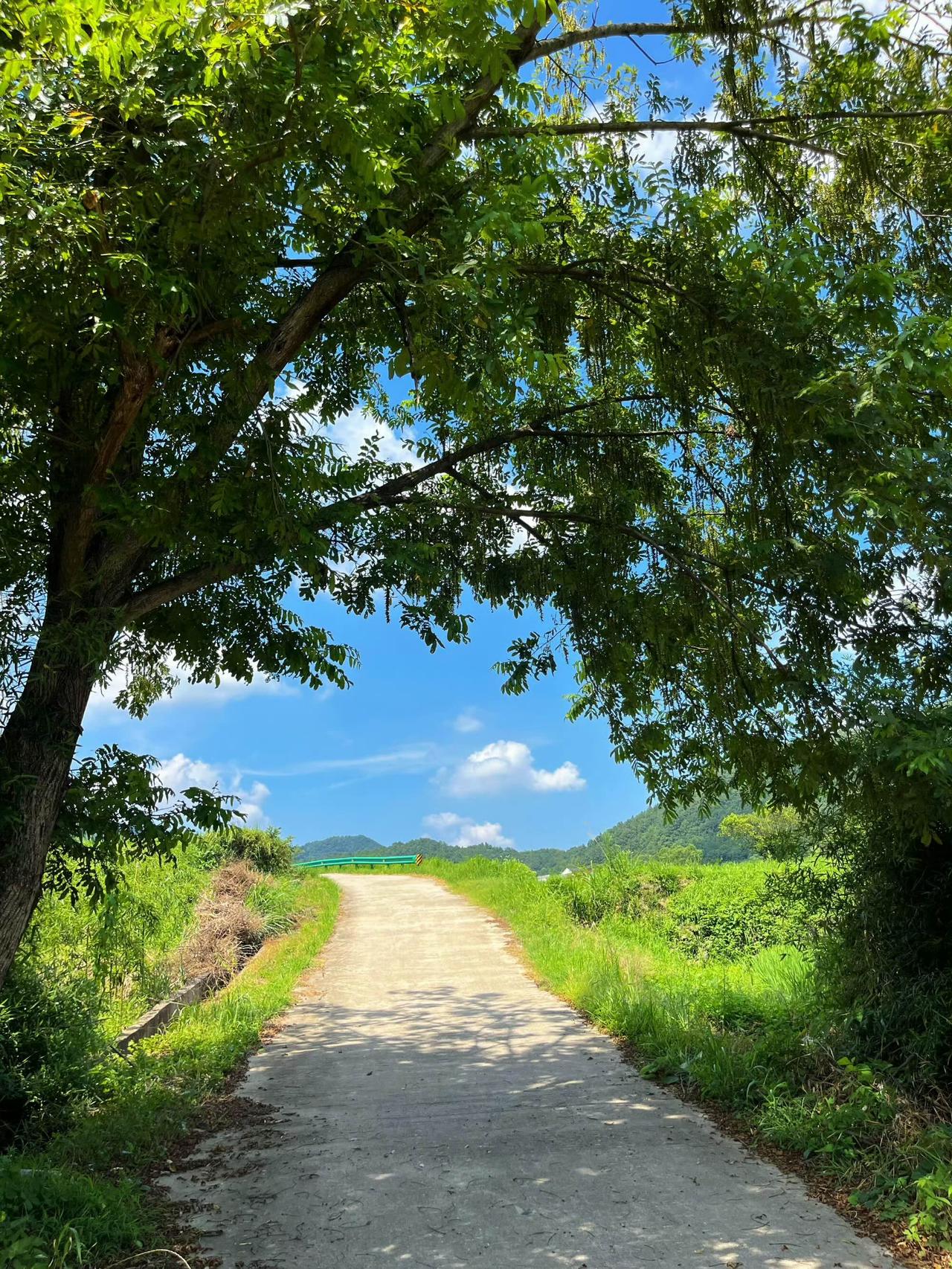 这样的农村你们喜欢吗