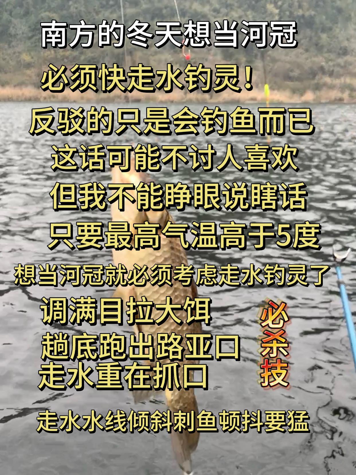 南方冬天钓鲫鱼，想当河冠必须快走水钓灵。南方冬天钓鲫鱼必杀技