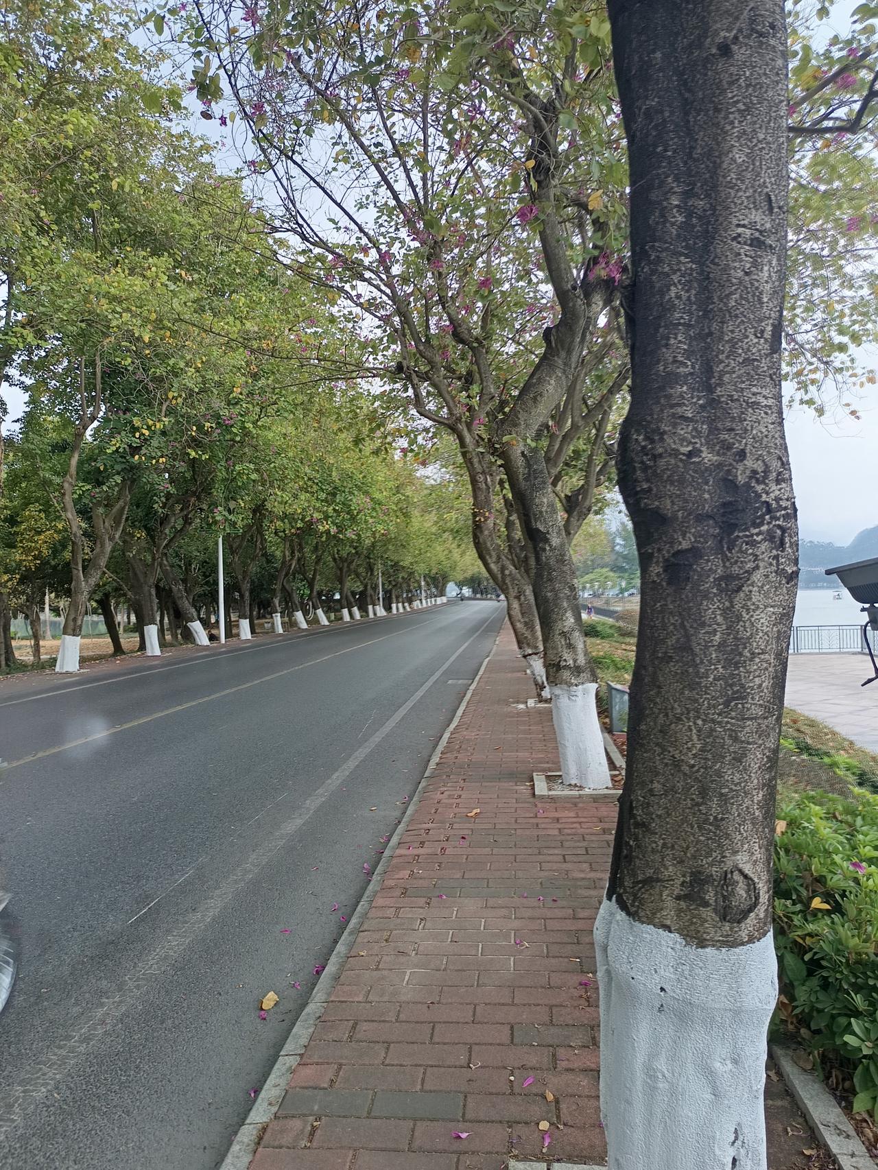 你敢相信吗？
这里是七星岩风景区。
肇庆有两个5a级风景区，七星岩风景区和鼎湖山