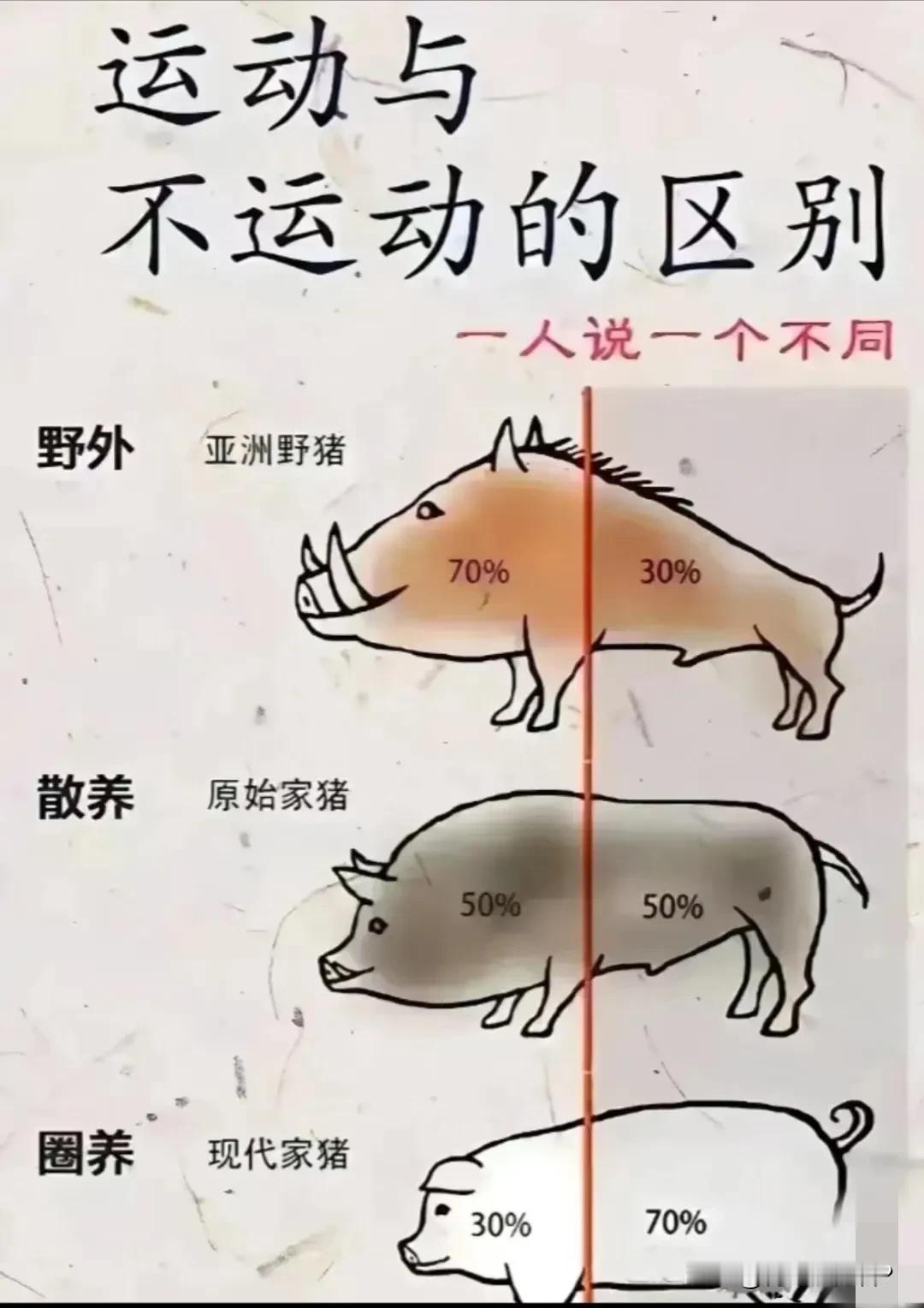 现在的很多人不仅不运动，下班后还会暴饮暴食。为什么？只为犒劳自己的工作艰辛。但体