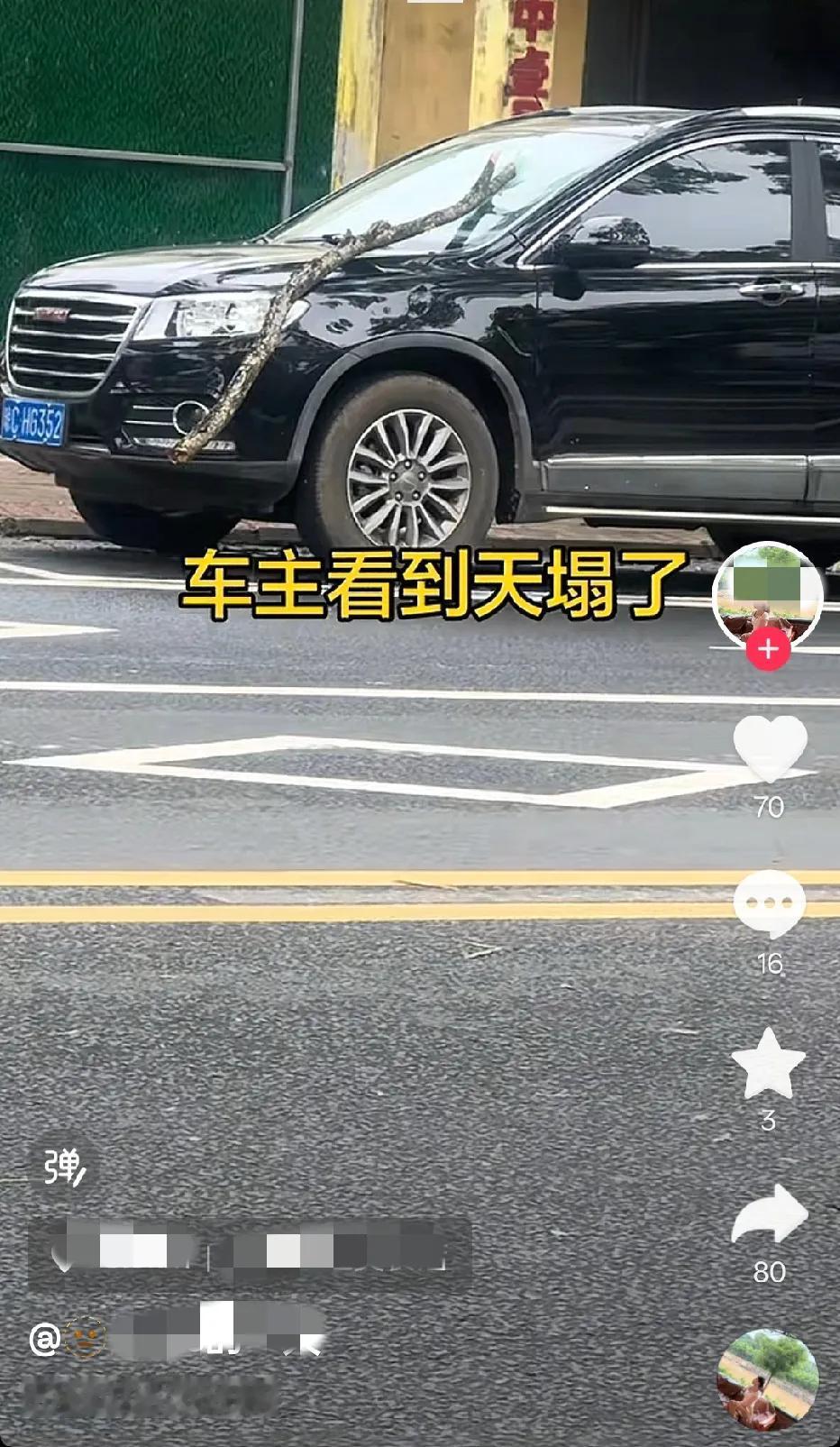 台风过后，这个车，会怎么赔偿？车主一觉醒来天塌了……