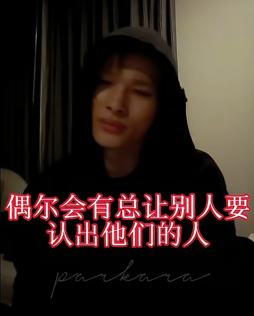 西村力 Mina看了西村力的视频，他就是在引导粉丝进行攻击，通过暗示让粉丝知道具