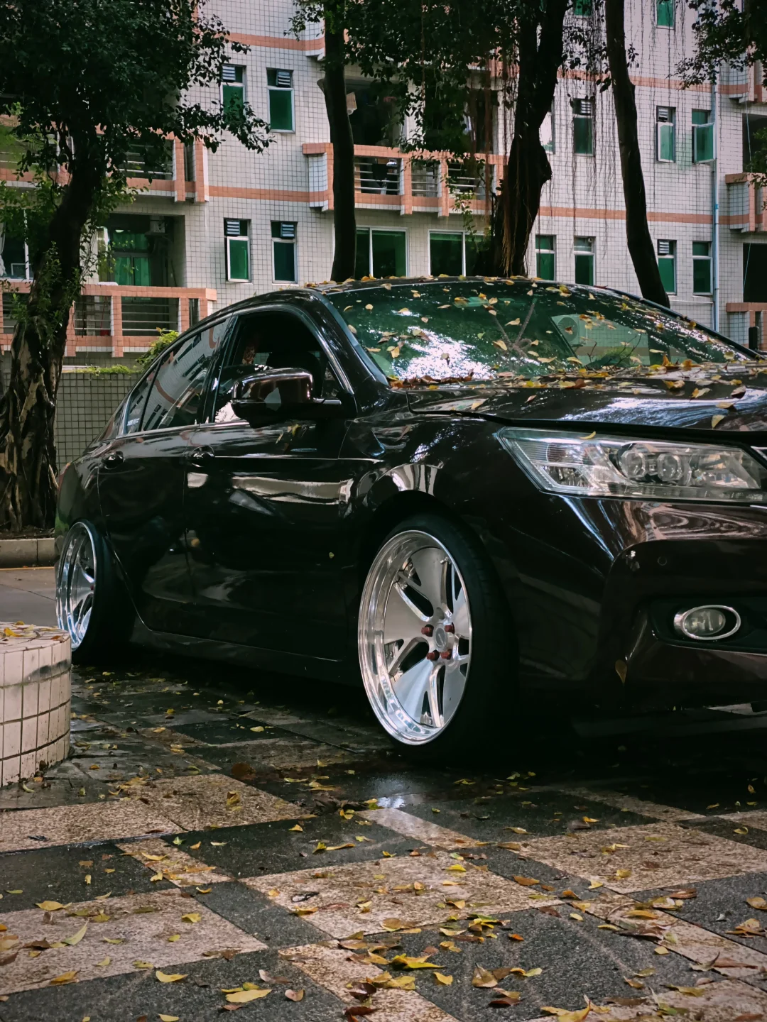 小孩子才做选择，大人全都要。