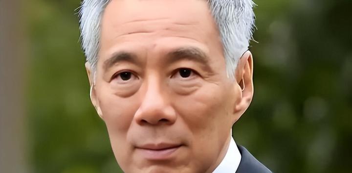 此后，李显龙结束了为期五天的访华行程。此行中，他考察了广西平陆运河和上海的人工智