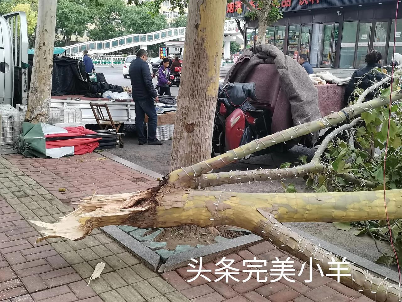#秋日生活打卡季#
地标潍坊，天气随时都会变化，面对自然灾害，我们能做的就是预防