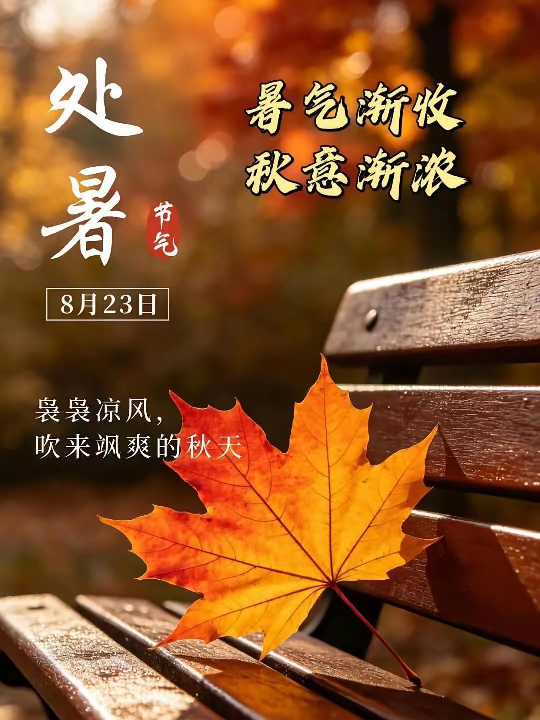 处暑落幕，夏去秋来🍂
天气慢慢转凉，季节悄悄更替，正是调理身心、调整状态的好时