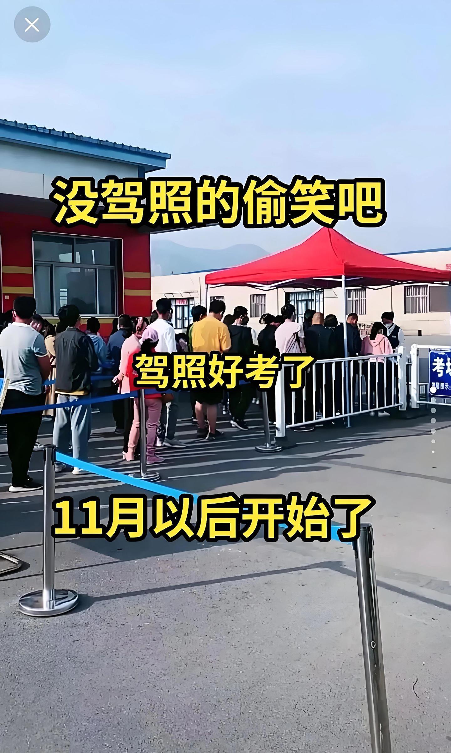 科一科四速成答题技巧 考驾照 驾校学车 科目一科目四理论技巧辅导 驾考一把过