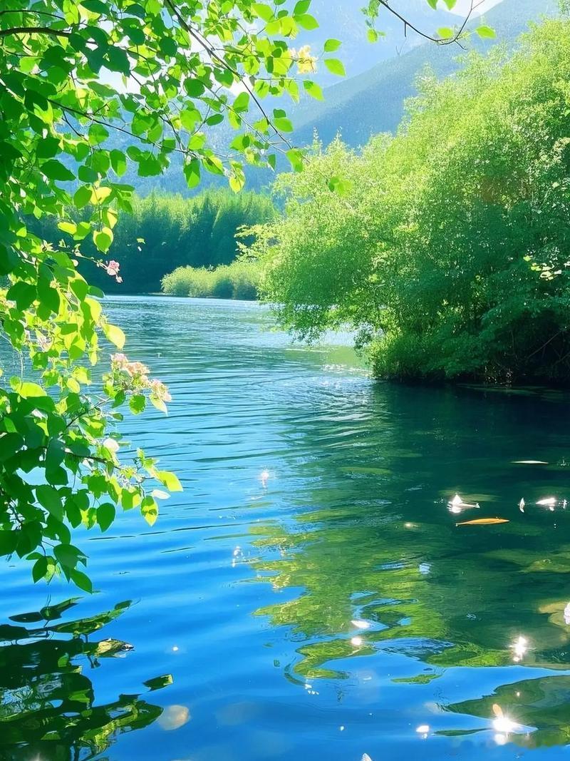 壁纸 浓绿环绕着澄澈湖面，阳光碎在层层涟漪之上，清风漫过枝叶，在这里静静放空，夏