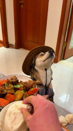 成精了，
绝对成精了！
吃东西也不能低下高傲的头！
[大笑][大笑][大笑][大