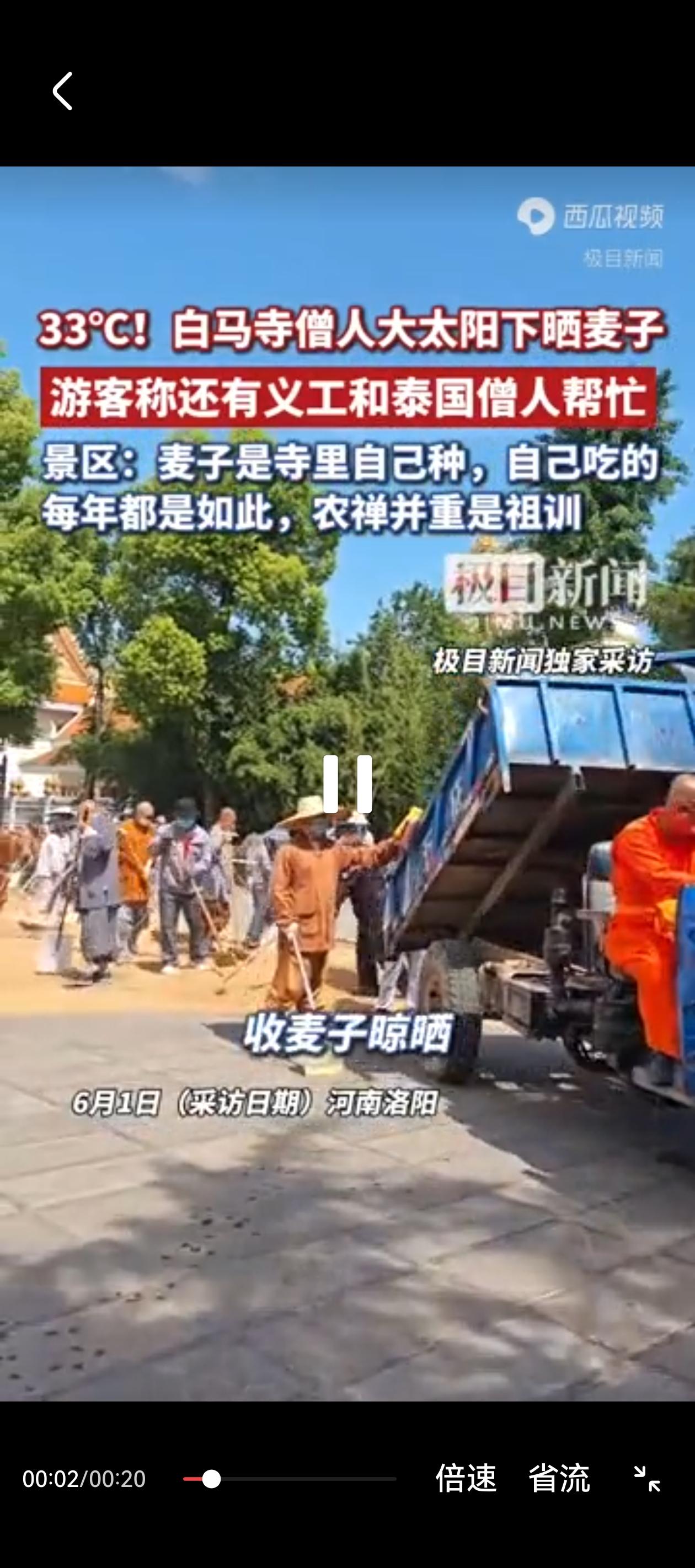 白马寺的僧人历来秉持农禅并重的祖训，修行和农业生产两不误，自给自足，这才是信众心
