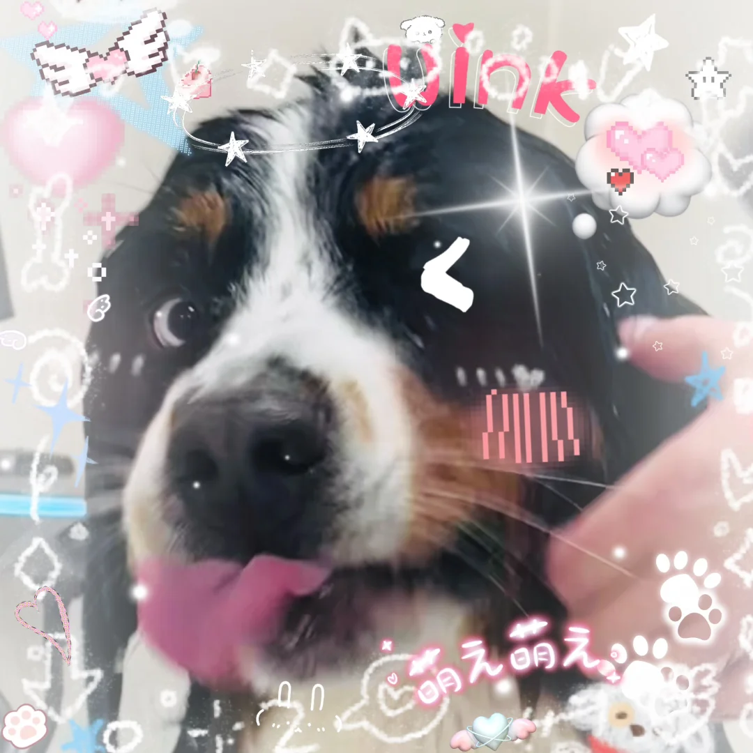 super萌(●°u°●)​ 」 bio 恩3 ★彡嫩脸萌^_−☆