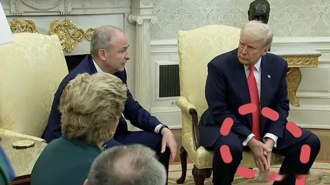 手背淤青怎么回事？看看特朗普如何解释
新年79岁高龄的美国总统特朗普，其健康状况