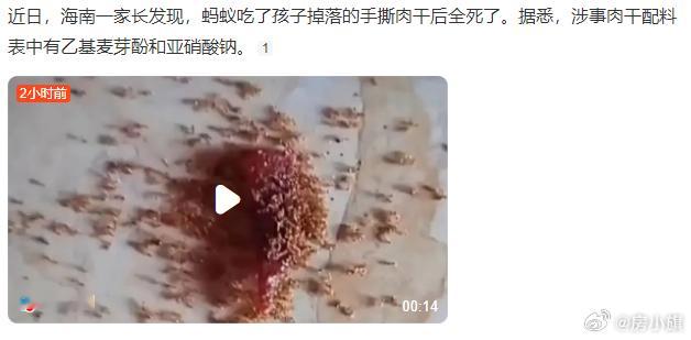 近日，海南一家长发现，蚂蚁吃了孩子掉落的手撕肉干后全死了。据悉，涉事肉干配料表中