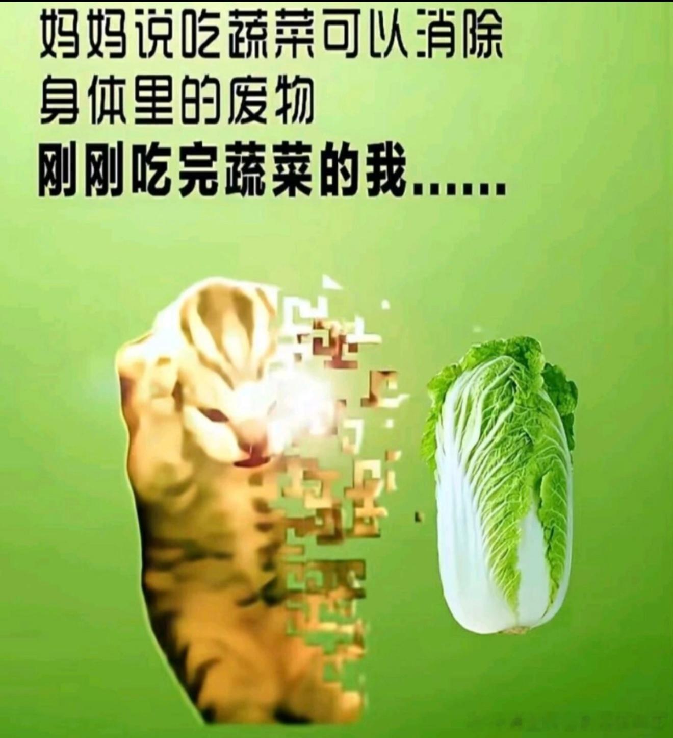 6895我是个啥呢？ ​​​