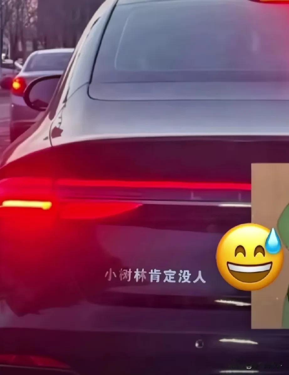 幽默搞笑的车贴标语。
1，林肯——小树林肯定没人
2，长安——擅长安慰别人
3，