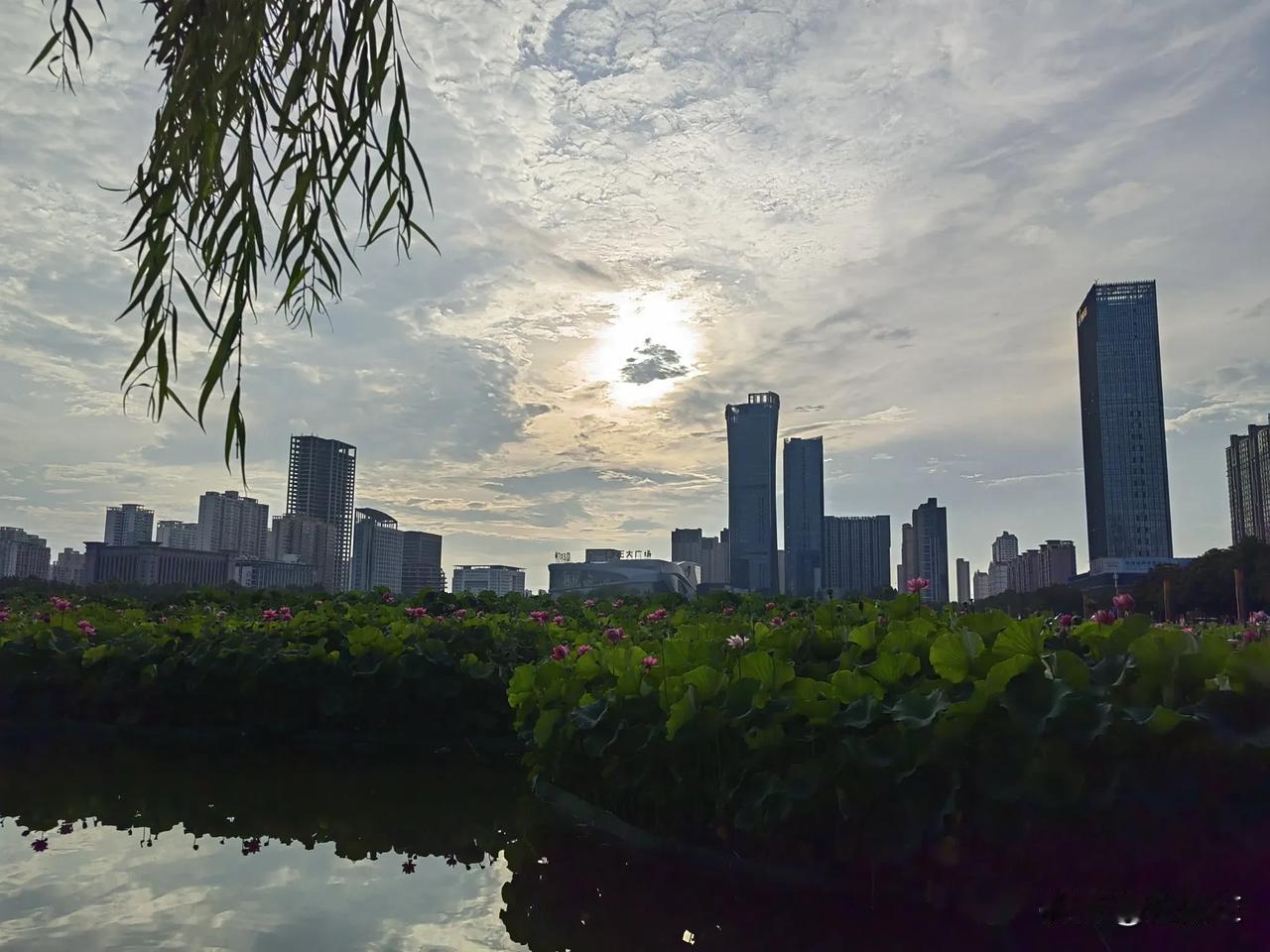你们发现没，单位里总有个别人，你以普通同志般的态度对他，把他当人看，可他偏不。也
