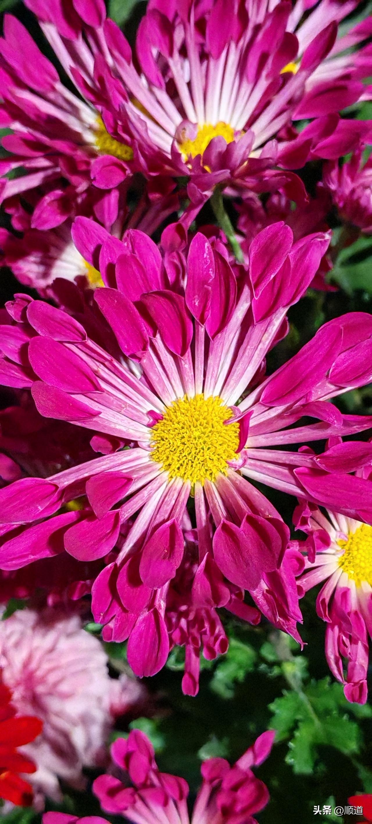 38岁女子离异，两个女儿，大女儿归前夫，小女儿她带着。交往了一个未婚男，也见过两