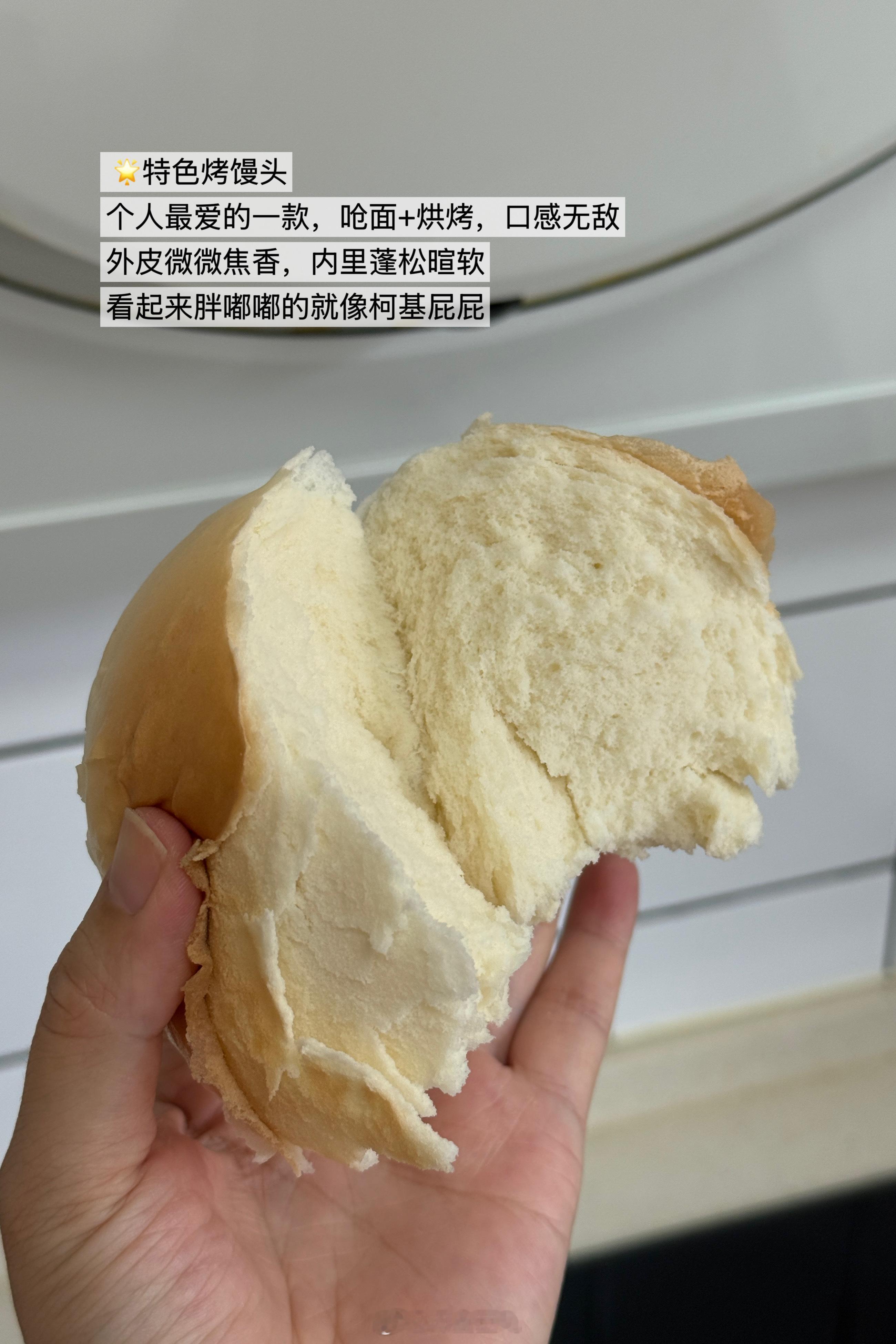 宫门口馒头♨️开团北方碳水届扛把子更适合中国宝宝体质的欧包 