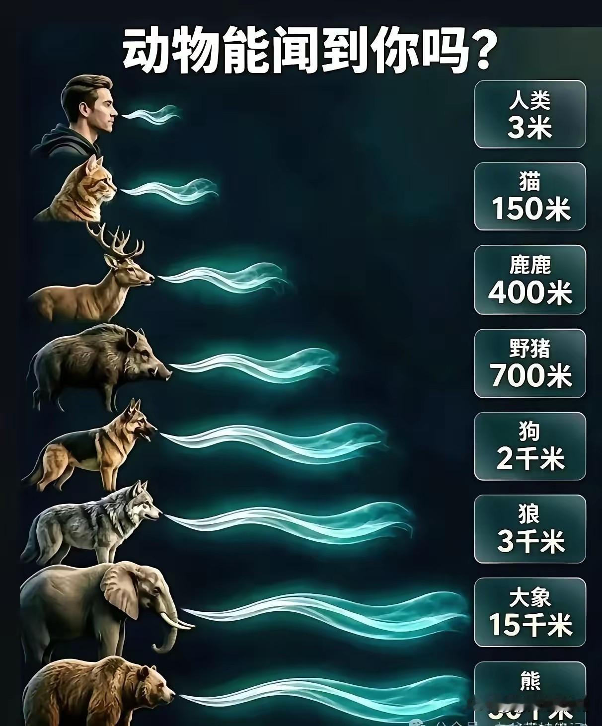 不得不说，没有对比就没有伤害！

果然人发展科技，才是硬道理！[捂脸][捂脸][