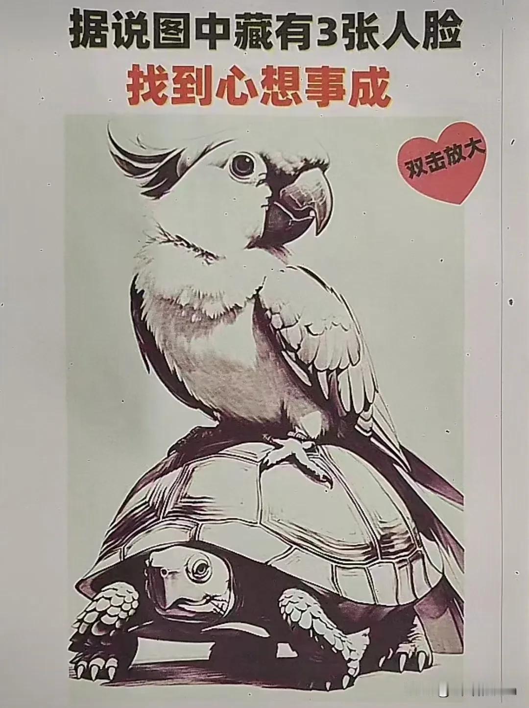 鹦鹉🦜骑乌龟🐢，下图隐藏着三张人脸，你又能看到几个呢？