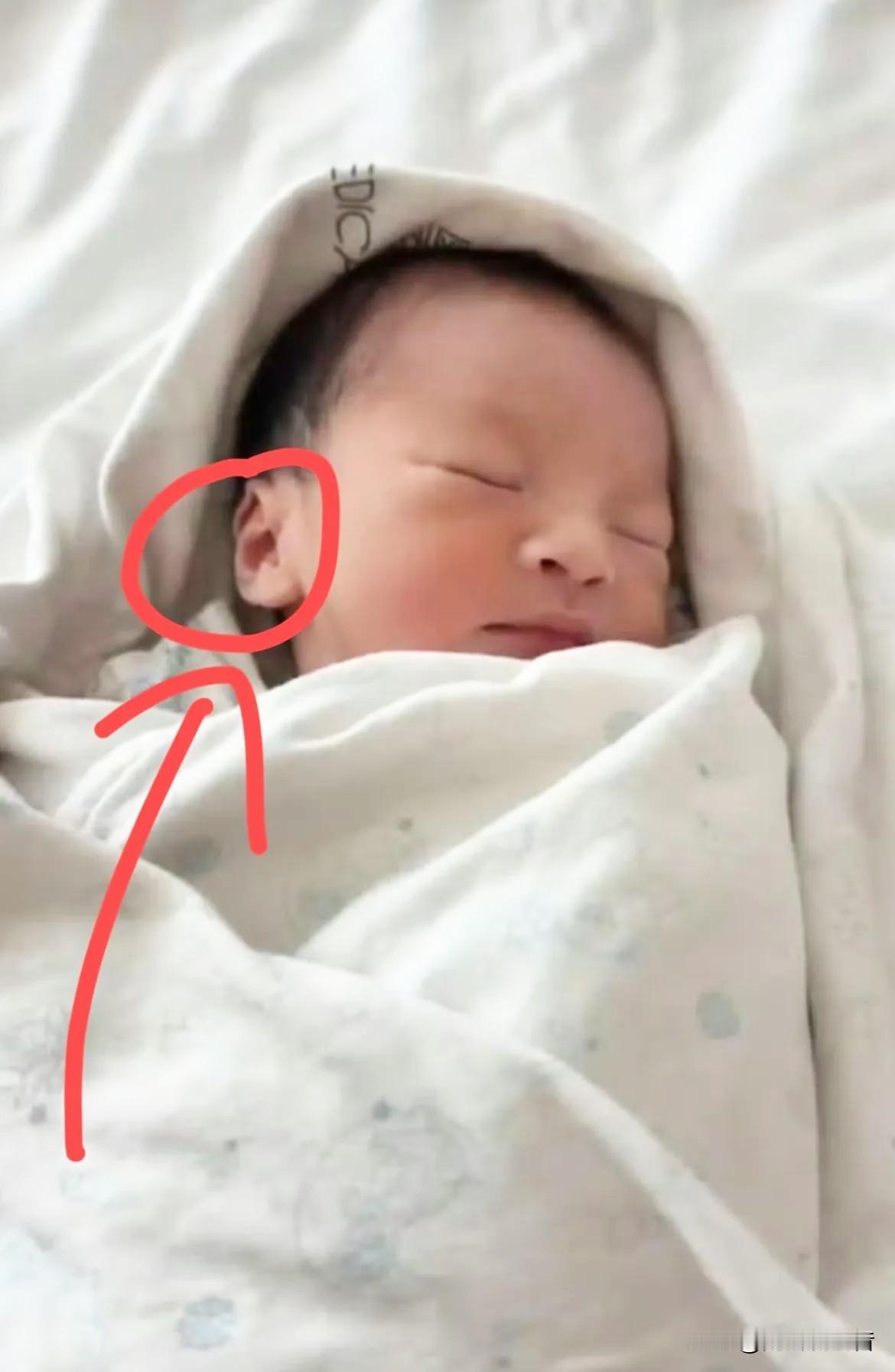 一出生就特别有福气，
这孩子真是招人喜欢，五官都特别像汪小菲，尤其是大耳垂，特别