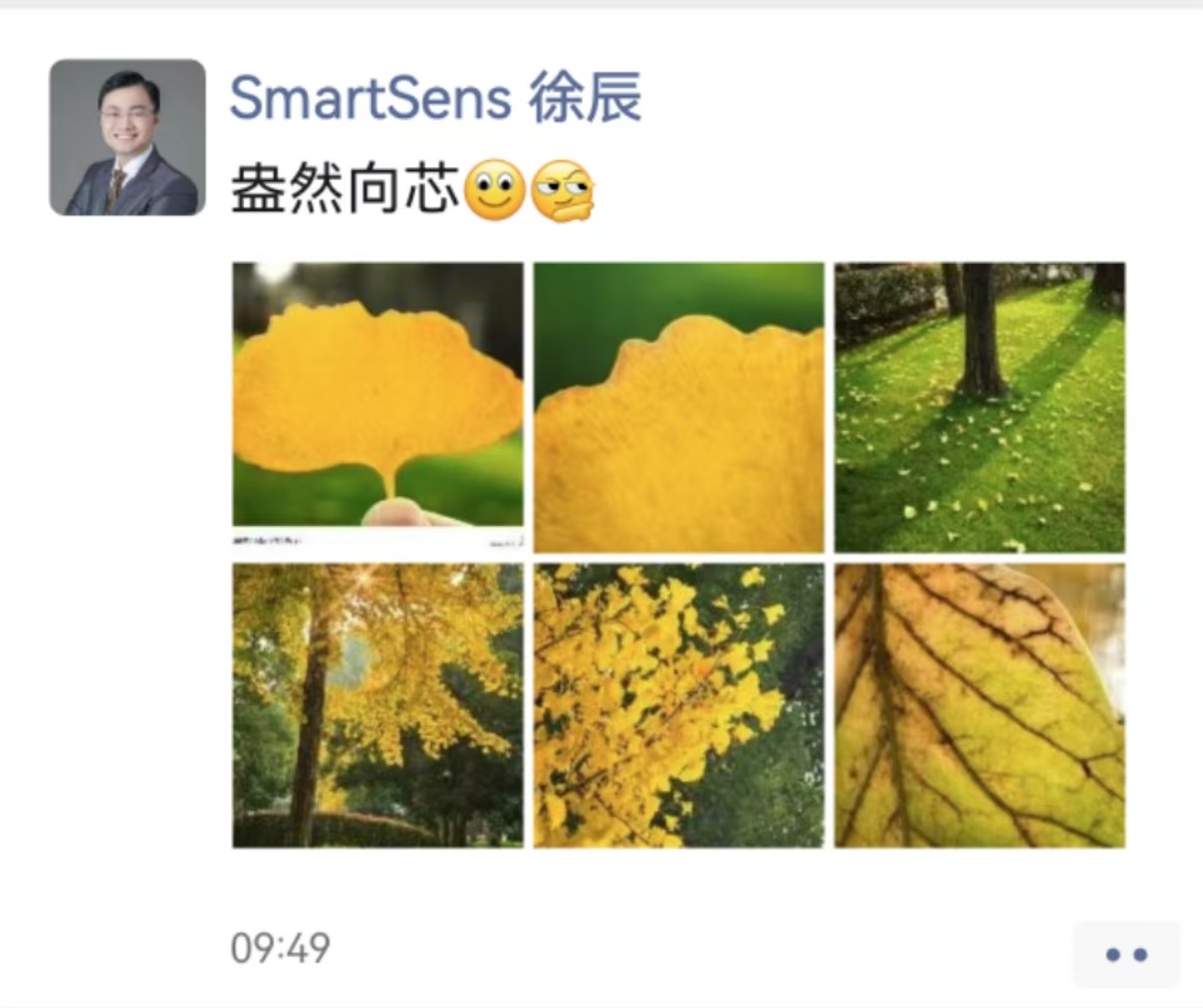 思特威老总又发了一系列逆光照片。结合9月的第一次暗示，这是二次暗示了？（tips
