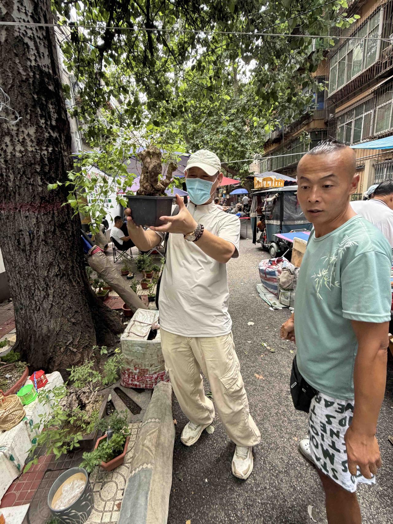 今天下午，我逛西安档子，走到西仓西巷时，看到一家售卖盆景的摊子上，有顾客正在跟老