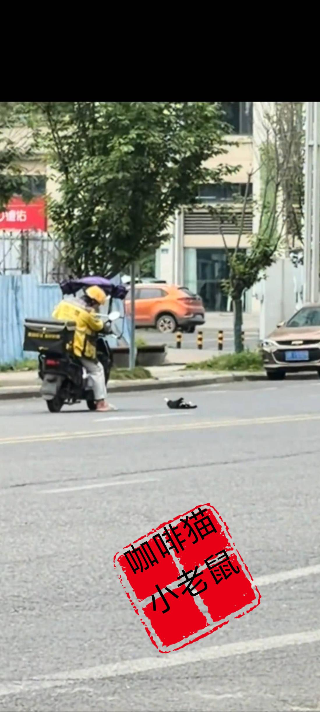 有的人竟然冷漠到将流浪猫碾压以后连句对不起都没有说，直接驾驶着自己的车辆扬长而去