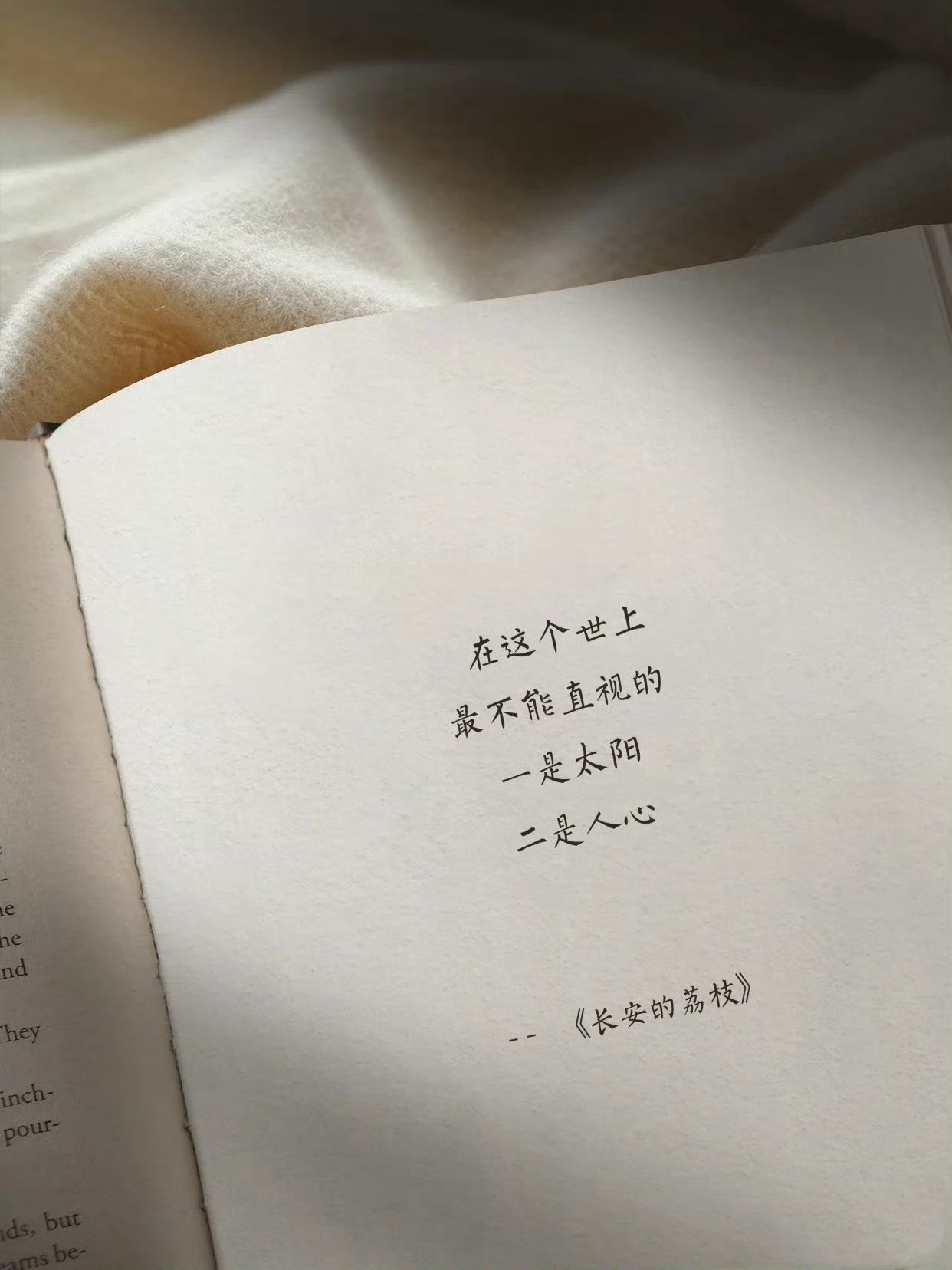 读了这些句子，终于明白为什么人人都在推荐《长安的荔枝》