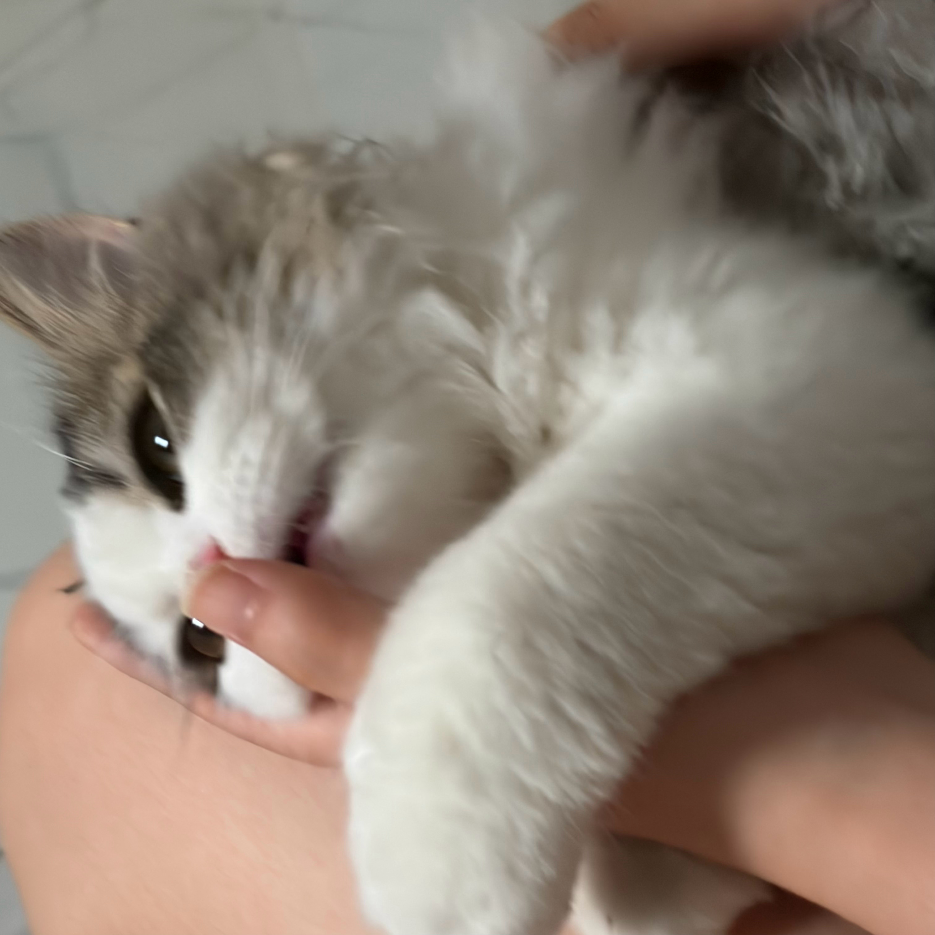 碎觉 
