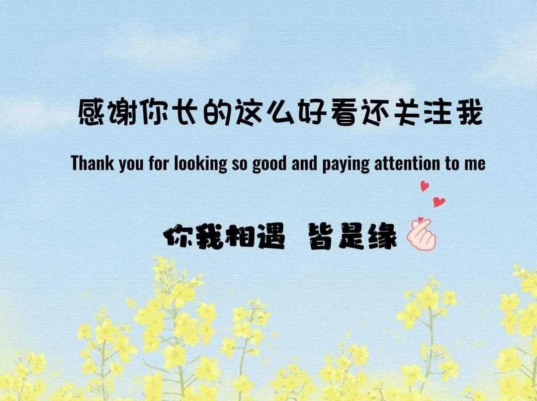 快来看看我新换的主页背景吧
