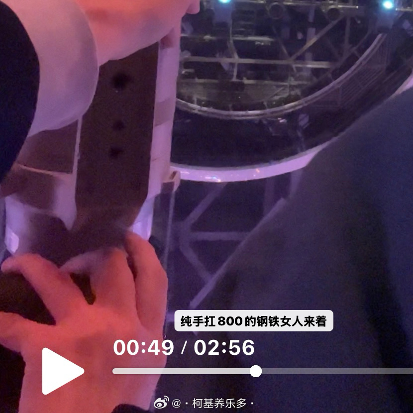 我要静养到世界末日来临 