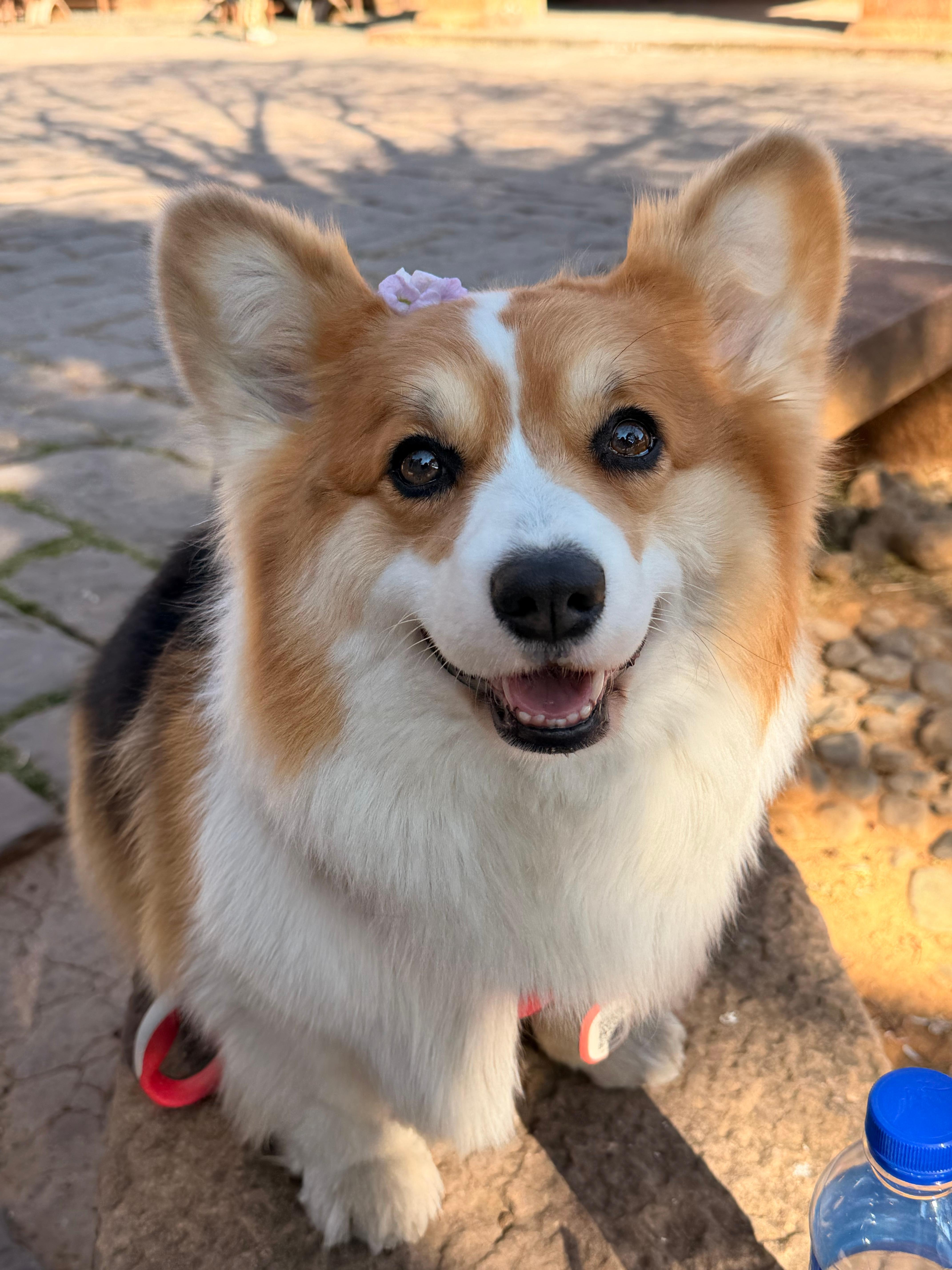 来大理每天都在晒太阳耶✌️ 