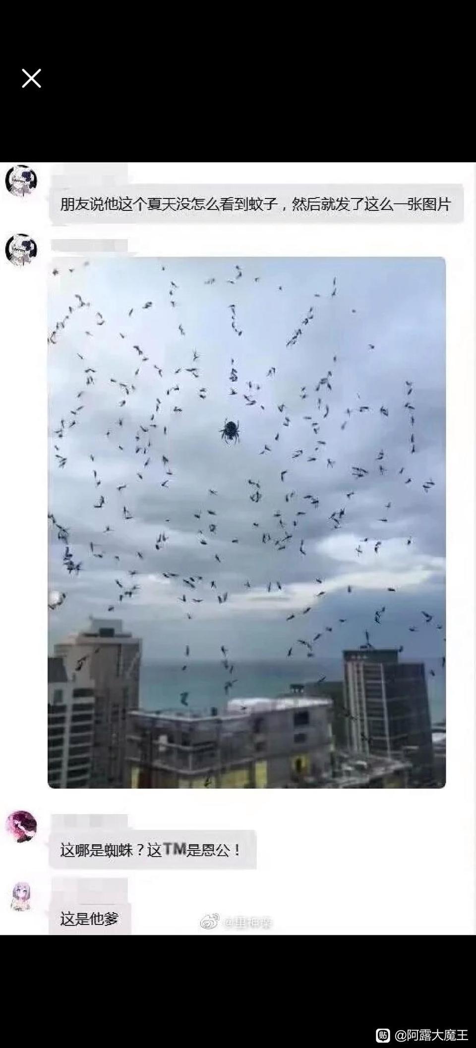 好家伙，这真的是恩公了[狗头]