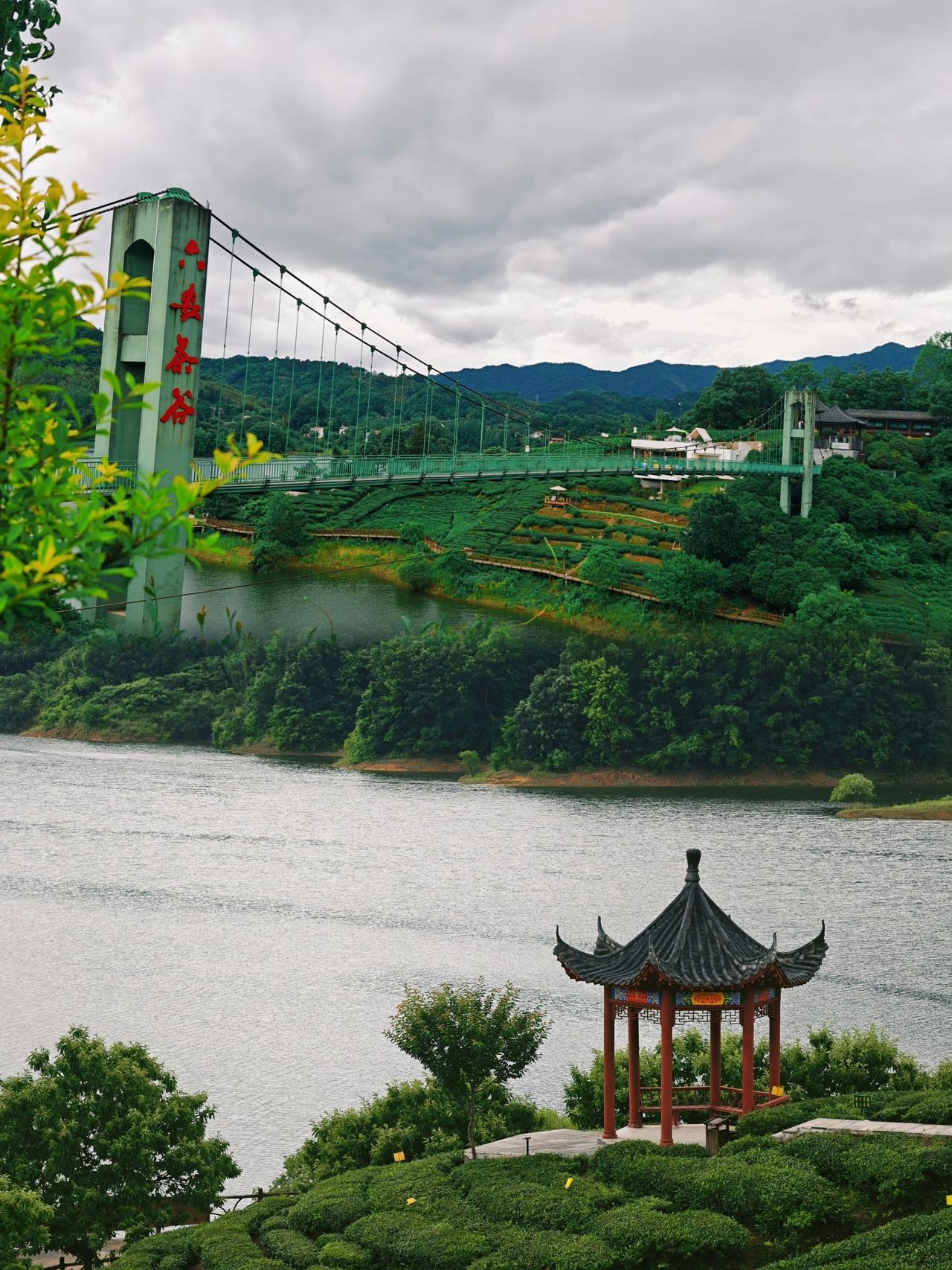 来安徽金寨游玩，六安西茶谷主题公园绝对不容错过。整片茶园依山傍水铺展开来，满目青