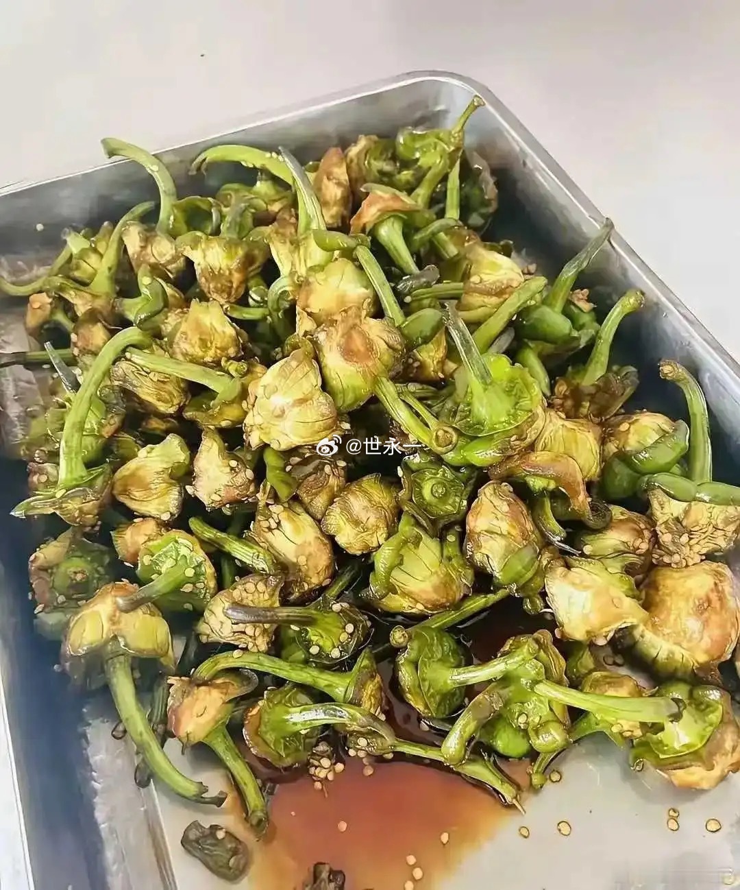 食堂阿姨，公司要倒闭了吗 
