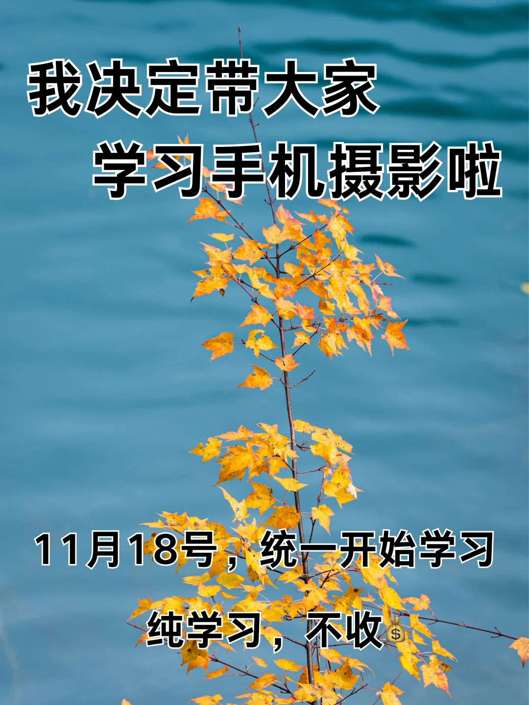 我决定带大家学习手机摄影啦！！