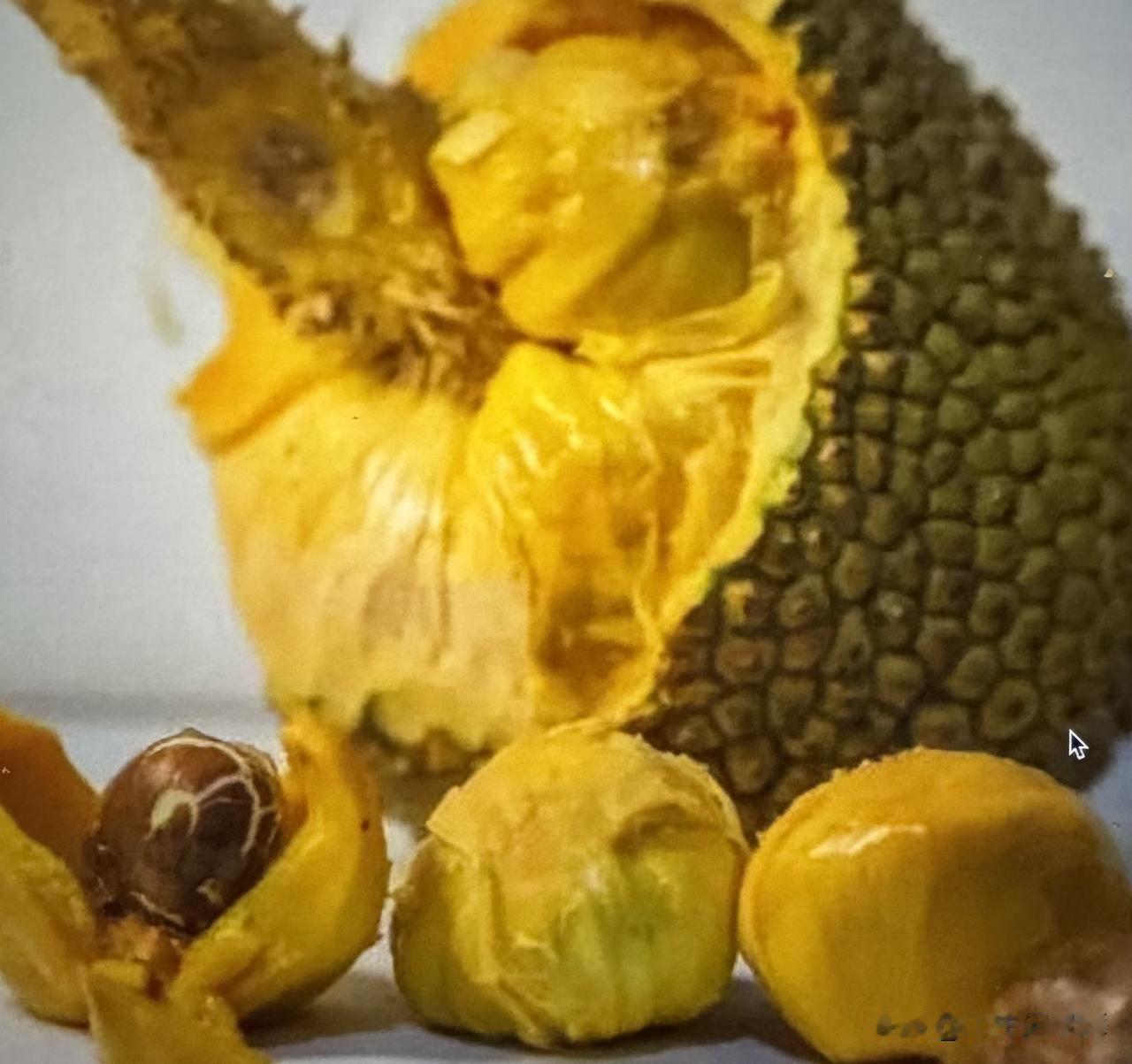 前几天在网上买的榴莲蜜，吃了一个，另一个隔一天打开就坏掉了。
热带水果坏的很快。