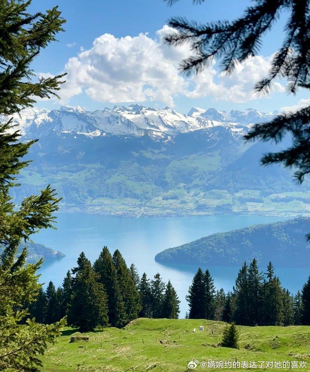 每日一善  善良，是内心深处的光辉，它如同温暖的阳光，照亮他人也温暖自己。善待他