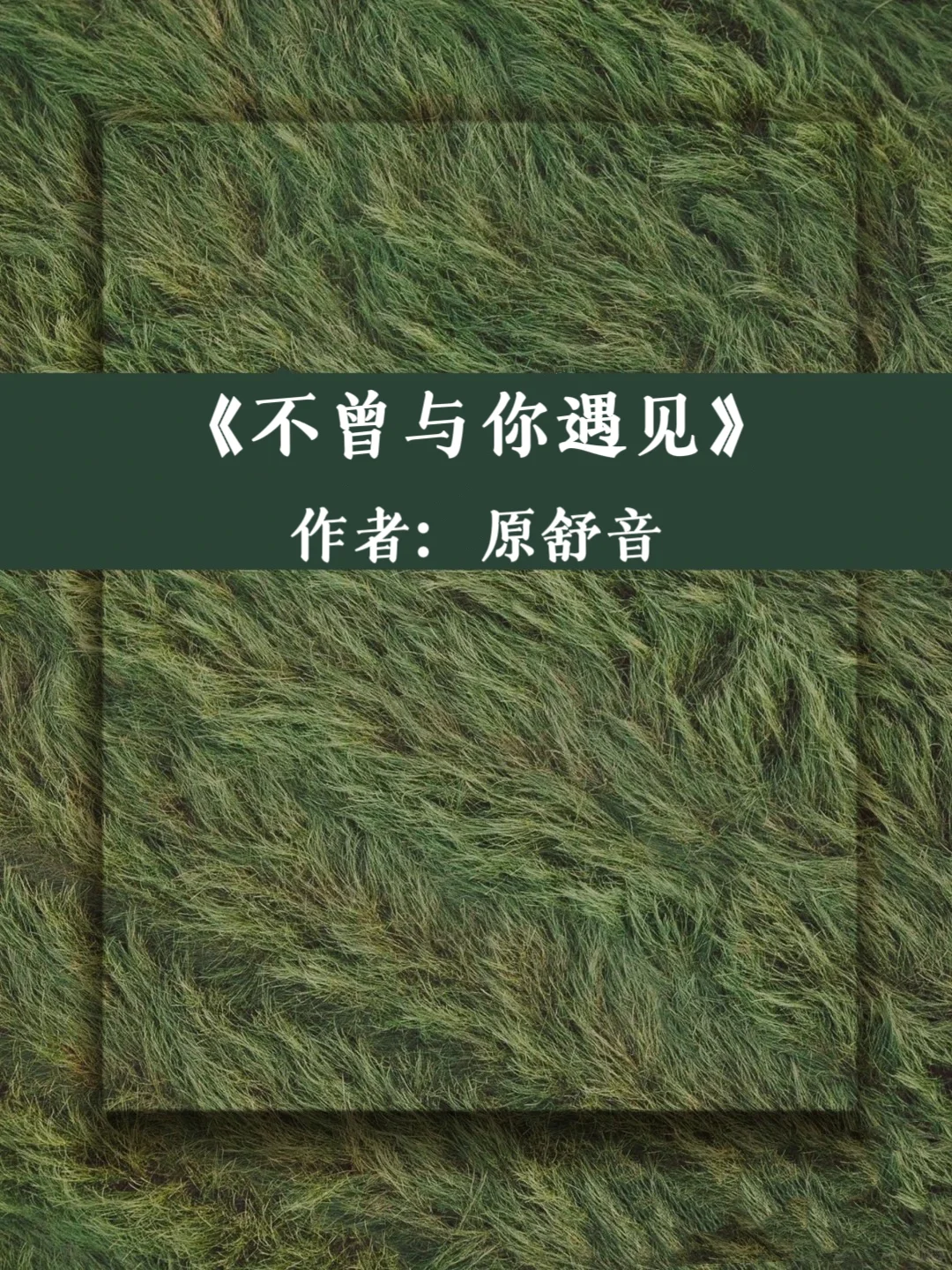 《不曾与你遇见》高干文！十几年书龄者强推70