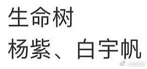 生命树是杨紫白宇帆合作，阵容让人毫无期待[裂开] ​​​